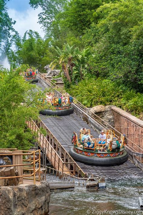 Kali River Rapids Closing for Long Refurbishment in 2024