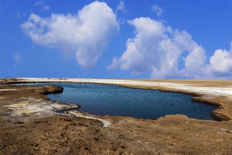 Rann of Kutch stock image. Image of drought, cracked - 40118305