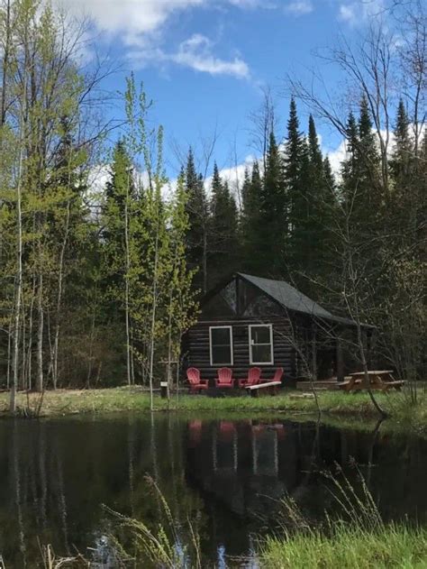 7 magical treehouse rentals in michigan – Artofit