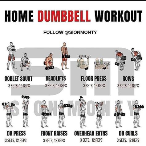 No excuses get those reps in ... | Dumbell workout, Dumbbell workout at ...