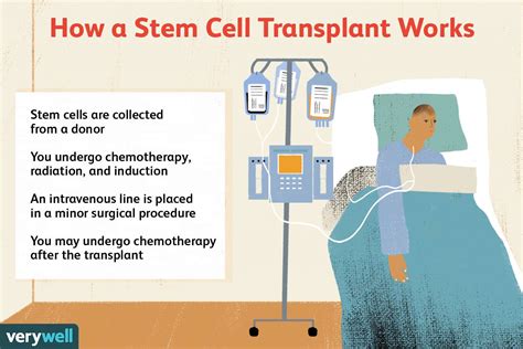 Transplant And Cellular Therapy 2024 - Tyne Alethea