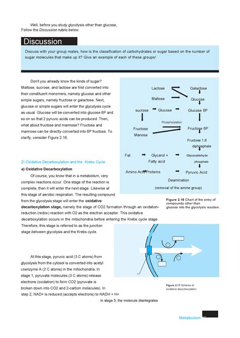 Hs class biology - Well, before you study glycolysis other than glucose, Follow the Discussion ...