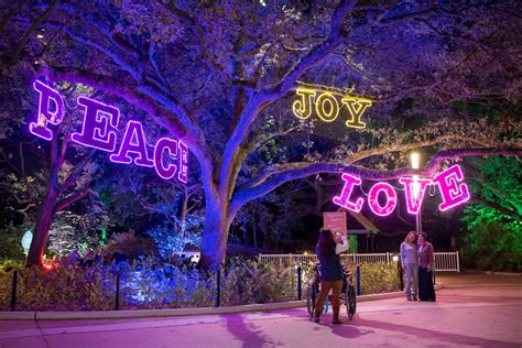 Houston Zoo Lights now open for 2023 holiday season through January – Houston Public Media