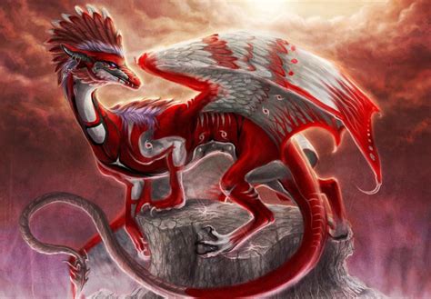 Western Dragons | Dragon pictures, Dragon artwork, Fantasy dragon