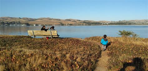 10 Water Front Bodega Bay Camping