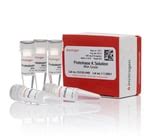 Proteinase K Solution (20 mg/mL), RNA grade