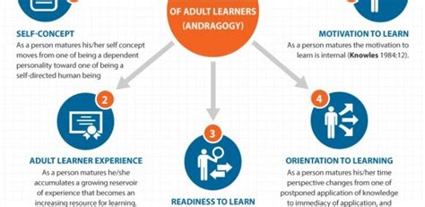 The Adult Learning Theory – Andragogy – Infographic - e-Learning Feeds