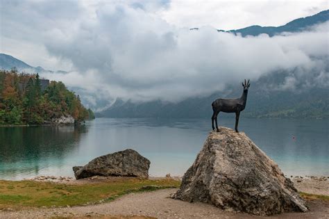 lake bohinj - 8 great spots for photography