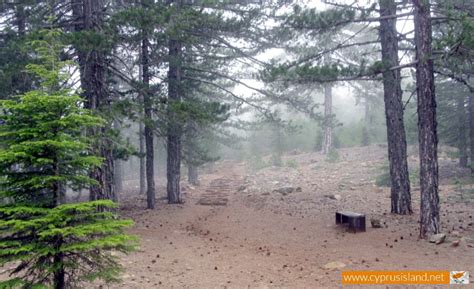 Troodos National Forest Park | Cyprus Island