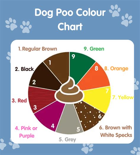 dog poop color chart find out what each color means - dog poo chart ...