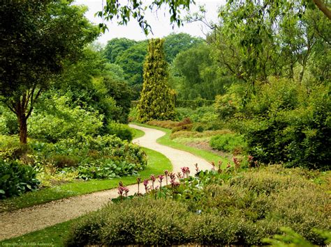 The Cambridge University Botanic Garden and John Stevens Henslow | HubPages