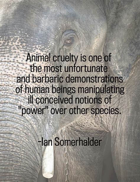 Animal Cruelty Quotes Suffering. QuotesGram