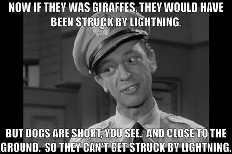 Barney Fife Quotes. QuotesGram