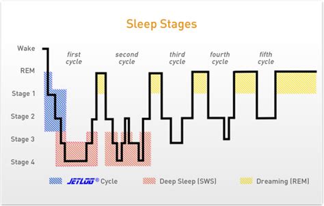 [DIAGRAM] Cycle Of Sleep Sleep Stages Diagram - MYDIAGRAM.ONLINE