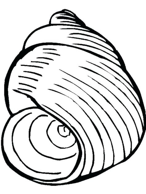 Shell Coloring Page Pdf. Shellfish are aquatic animals including soft-bodied animals (mollusks ...