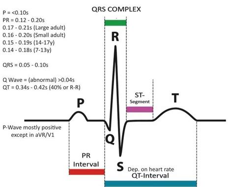 qrs complex ekg duration | Pr interval, Nurse study notes, Medical school essentials