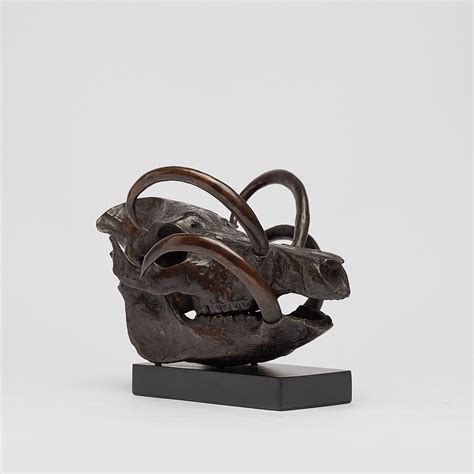 A Babirusa skull in bronze by J Richmond for Sooka Interior