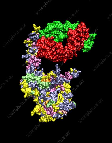 Herceptin breast cancer drug - Stock Image - A617/0155 - Science Photo Library