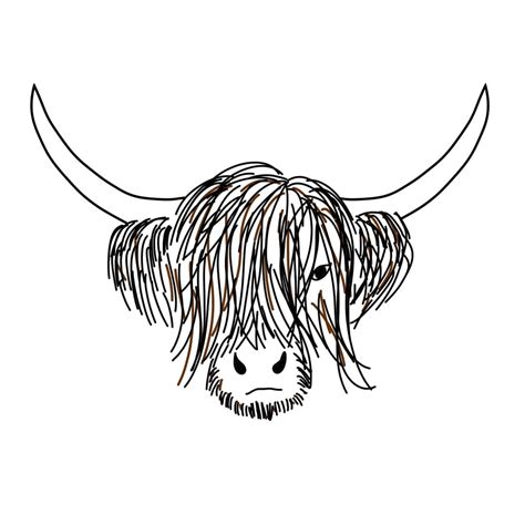 Highland Cow Drawing Black And White - Debora Milke