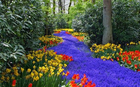 30 Beautiful Forest Flowers Wallpapers | MagOne 2016