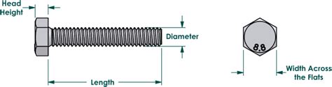 Metric tap bolts, Zinc plated class 8.8 steel, 8mm x 1.25mm x 70mm - Bolt Depot