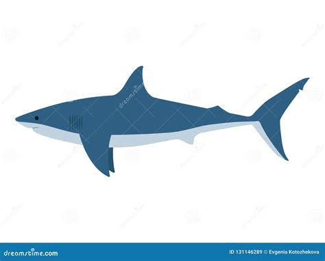 Vector Illustration Dangerous Great White Shark Stock Vector ...