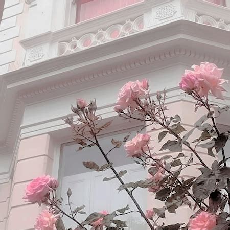 #aesthetic #flowers #pastel #tumblr #rose #pale https://weheartit.com/entry/324592696 | Flower ...