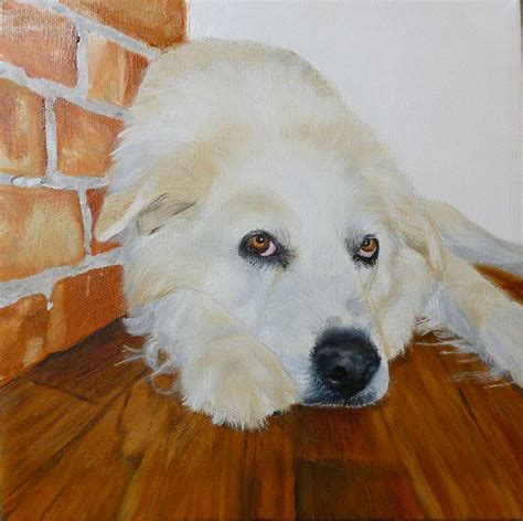 Pet Portrait Great Pyrenees Original Oil Painting On Canvas 10 X 10 ...