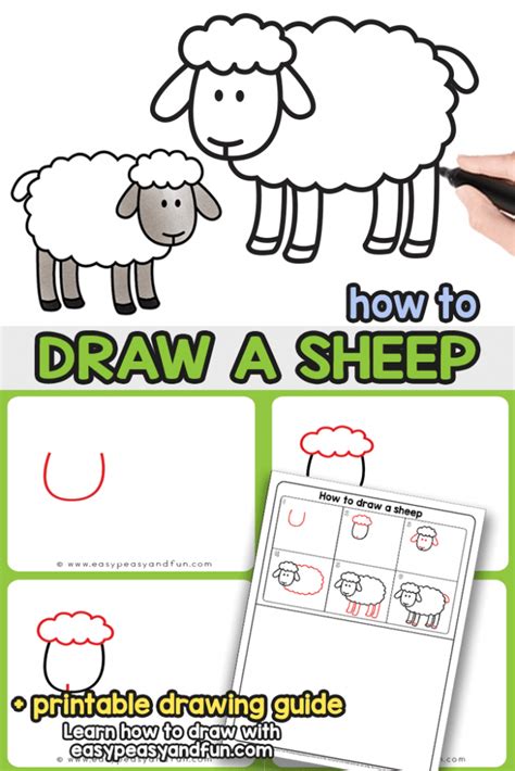 How to Draw a Sheep - Step by Step Sheep Drawing Tutorial - Easy Peasy ...