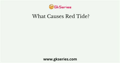 What Causes Red Tide?