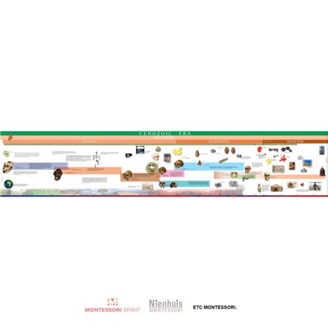 Timeline of Early Humans (Display) - Montessori Spirit