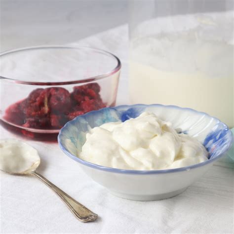 How to make Icelandic Skyr in a yogurt maker - Luvele AU