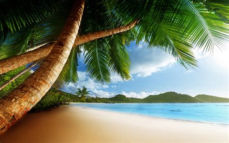 Free Animated Beach, Download Free Animated Beach png images, Free ...