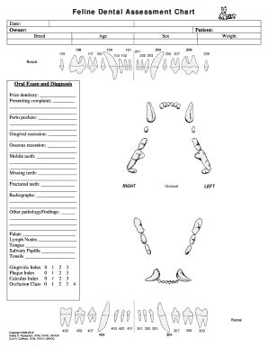 Feline Dental Chart Pdf - Fill Online, Printable, Fillable, Blank | pdfFiller