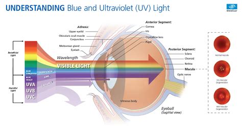 Benefits Of Anti-Reflective Coatings - Crizal Prevencia