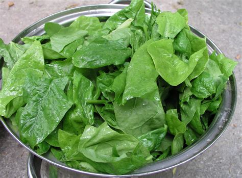 A spin on spinach | New York Amsterdam News: The new Black view