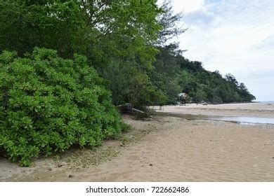 Florida Gulf Coast Intracoastal Waterway Stock Photo 1872018301 | Shutterstock