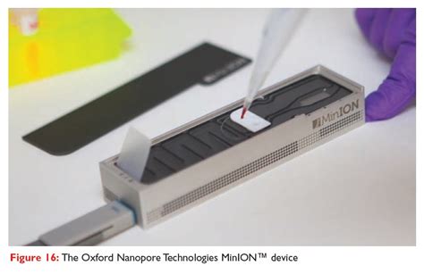 DNA Sequencing: Latest Developments In Next-Generation Sequencing ...