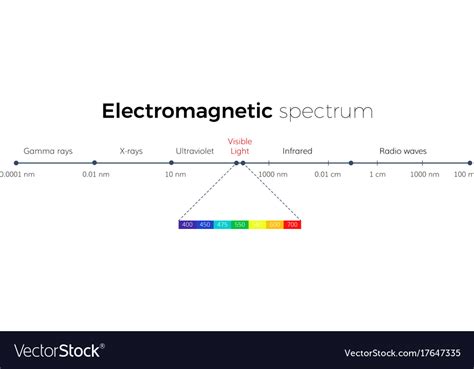 Electromagnetic spectrum scale Royalty Free Vector Image