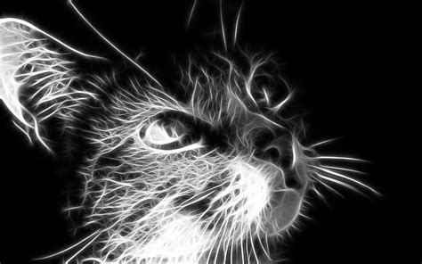 HD wallpaper: Fractalius, cat, monochrome, digital art, animals, black background | Wallpaper Flare