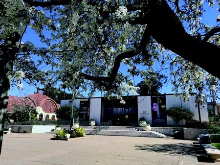 Timken Museum of Art Plans to Reopen in the Fall 2021 | Timken Museum