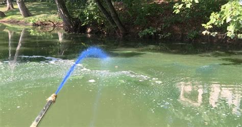 The Do's & Don'ts of Copper Sulfate in Ponds / Platinum Ponds & Lake Management Greenville SC ...