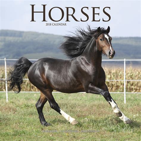 Horses Calendar 2018 | Pet Prints Inc.