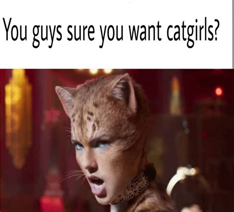 Cats movie time : r/memes