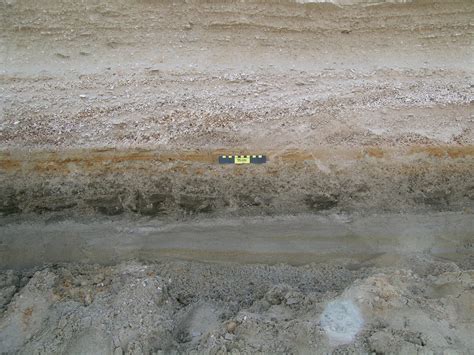 Abu Dhabi lagoon and sabkha - The Organic Geochemistry Laboratory at UIC