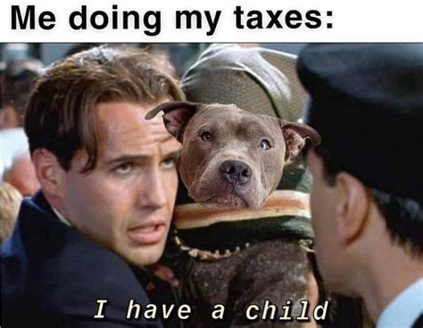 Can You Claim Pets As Dependents On Taxes - Pets Retro