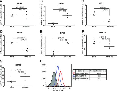 Changes in P. brasiliensis Pb18 gene expression after cycles of... | Download Scientific Diagram