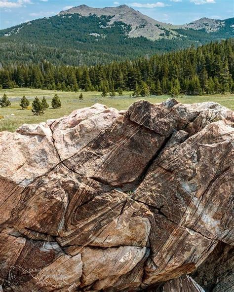 Intensely folded gneiss at Powder River Pass, Bighorn Mtns., Wyoming | Fold geology, Geology ...