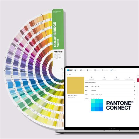 PANTONE® USA | Color Bridge Set + Pantone Connect Bundle