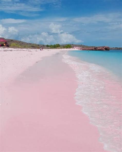 7 Pantai Pink Di Indonesia Keren Banget